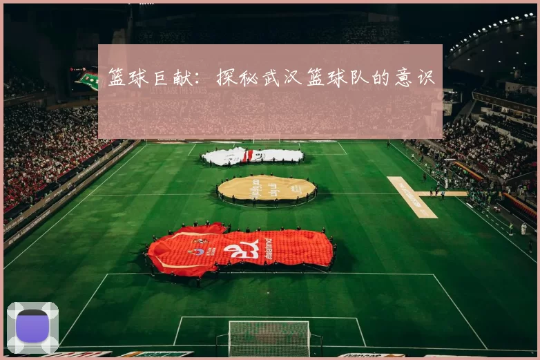 篮球巨献：探秘武汉篮球队的意识