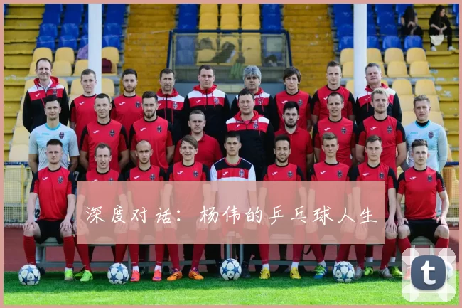 深度对话：杨伟的乒乓球人生