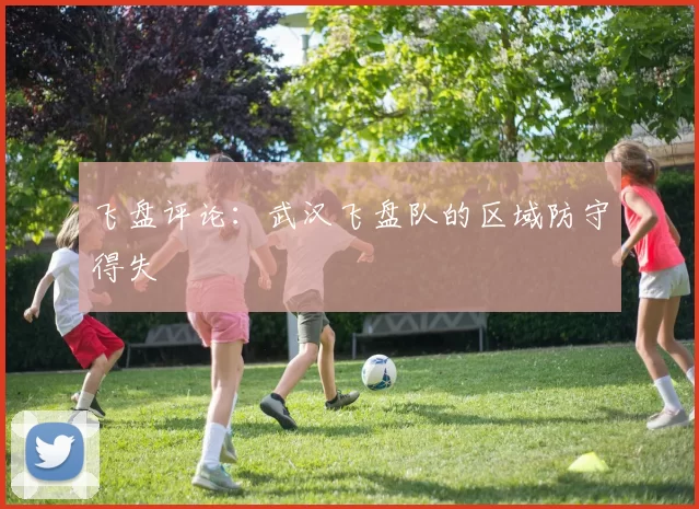 飞盘评论：武汉飞盘队的区域防守得失
