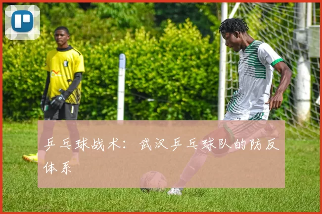 乒乓球战术：武汉乒乓球队的防反体系