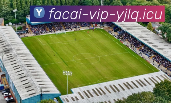 华体会体育APP 封面图